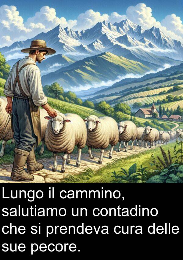 salutiamo: Lungo il cammino, salutiamo un contadino che si prendeva cura delle sue pecore.