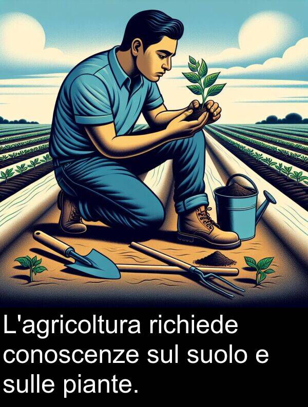 sul: L'agricoltura richiede conoscenze sul suolo e sulle piante.
