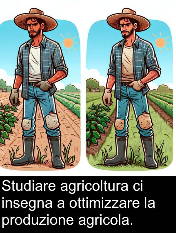 ottimizzare: Studiare agricoltura ci insegna a ottimizzare la produzione agricola.