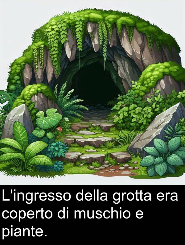 piante: L'ingresso della grotta era coperto di muschio e piante.