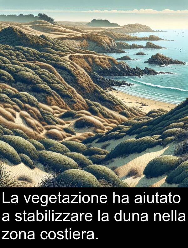 costiera: La vegetazione ha aiutato a stabilizzare la duna nella zona costiera.
