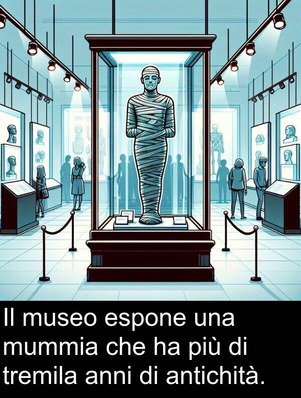 tremila: Il museo espone una mummia che ha più di tremila anni di antichità.