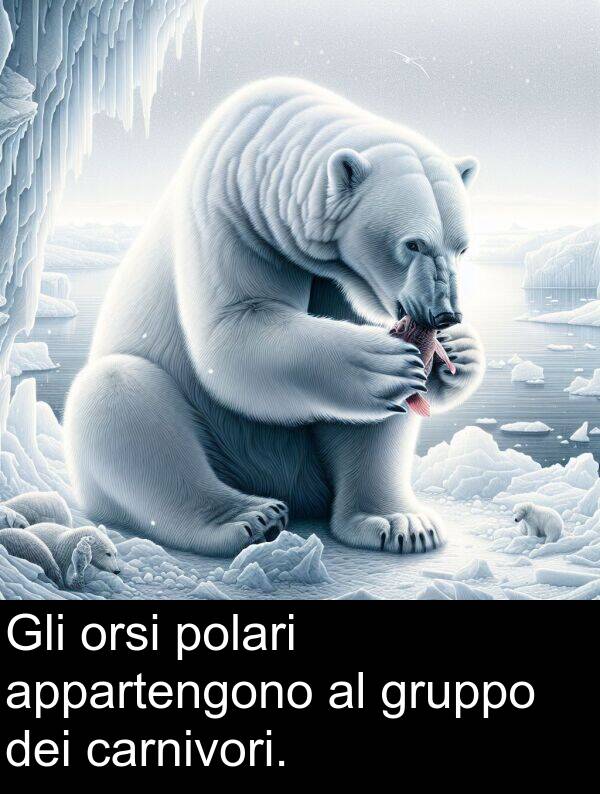 dei: Gli orsi polari appartengono al gruppo dei carnivori.