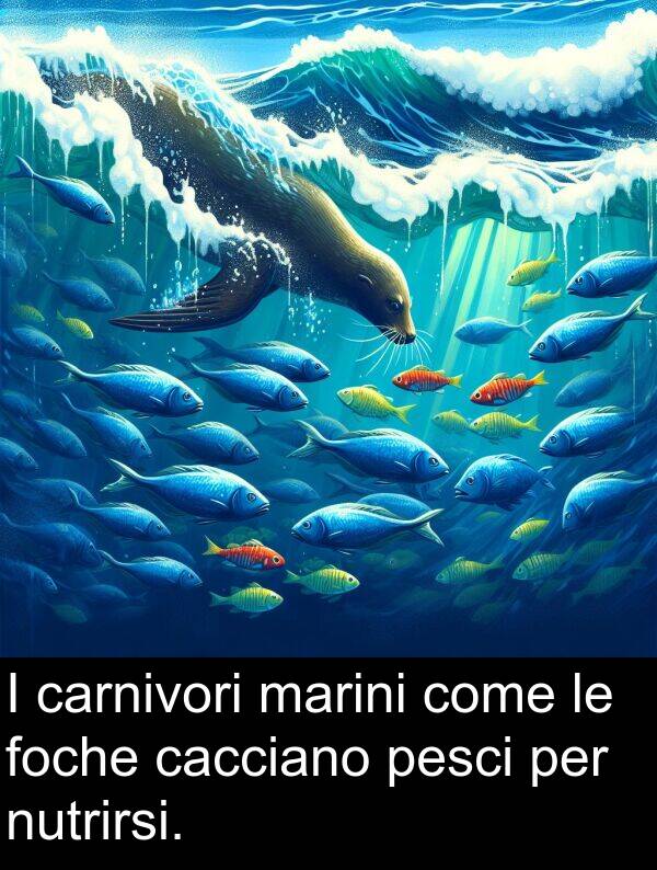 cacciano: I carnivori marini come le foche cacciano pesci per nutrirsi.