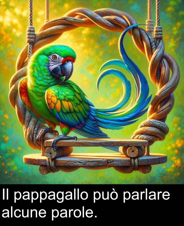 alcune: Il pappagallo può parlare alcune parole.