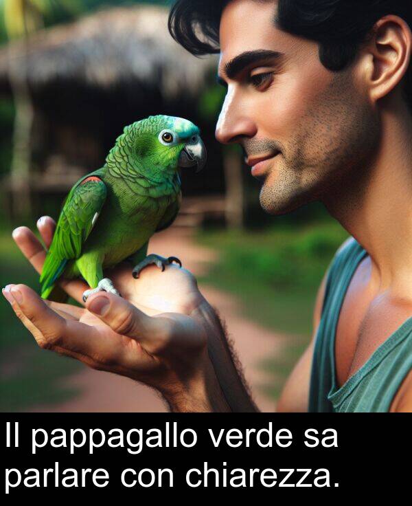 con: Il pappagallo verde sa parlare con chiarezza.