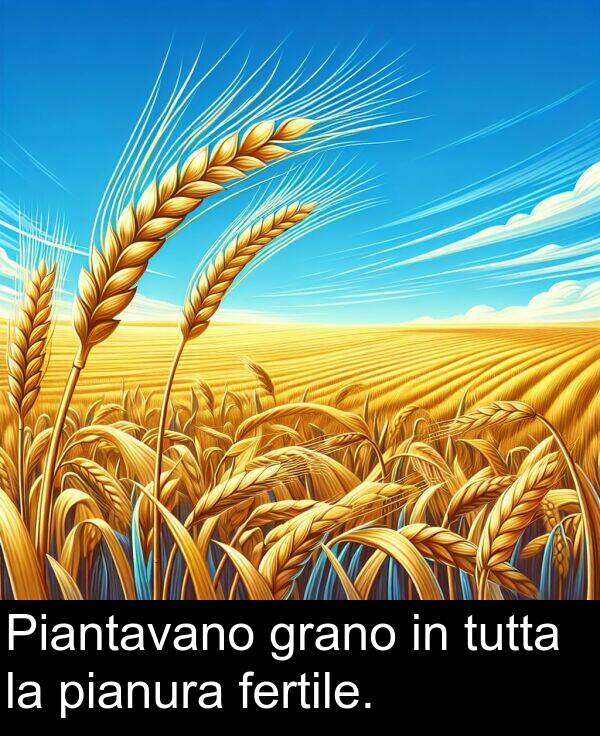 pianura: Piantavano grano in tutta la pianura fertile.