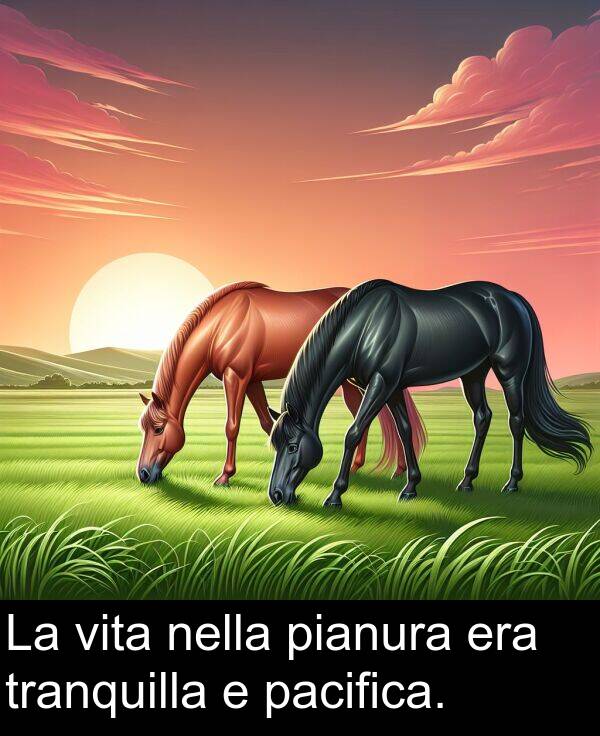 pianura: La vita nella pianura era tranquilla e pacifica.
