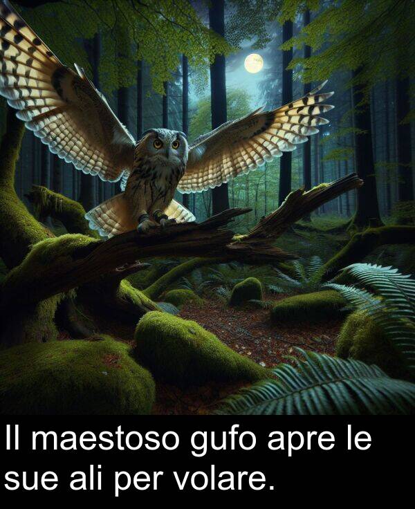 per: Il maestoso gufo apre le sue ali per volare.