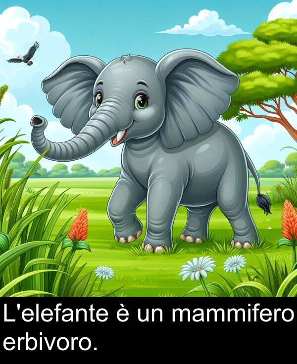erbivoro: L'elefante è un mammifero erbivoro.
