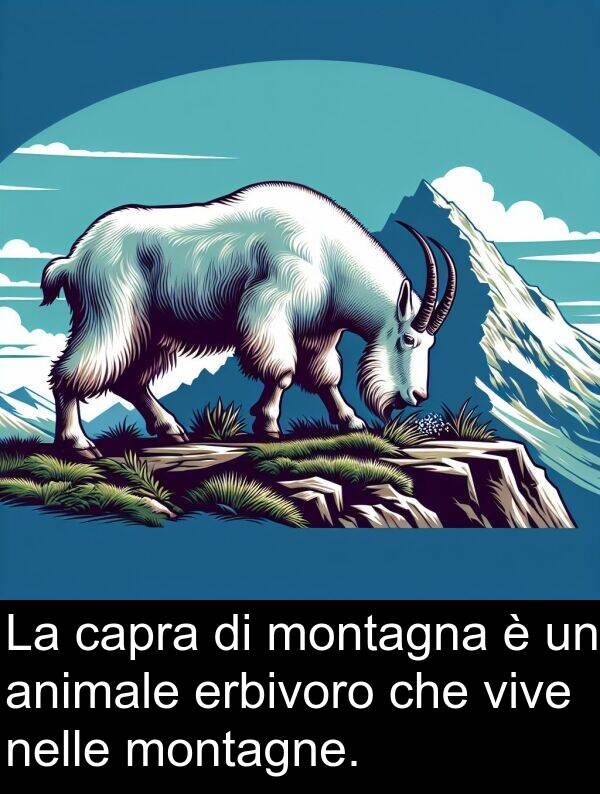 vive: La capra di montagna è un animale erbivoro che vive nelle montagne.