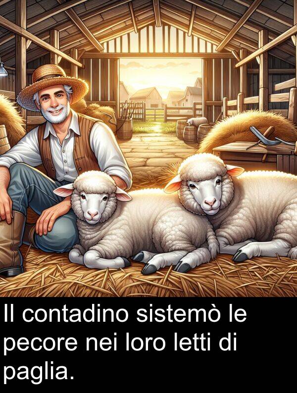 loro: Il contadino sistemò le pecore nei loro letti di paglia.