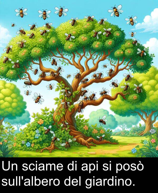 giardino: Un sciame di api si posò sull'albero del giardino.