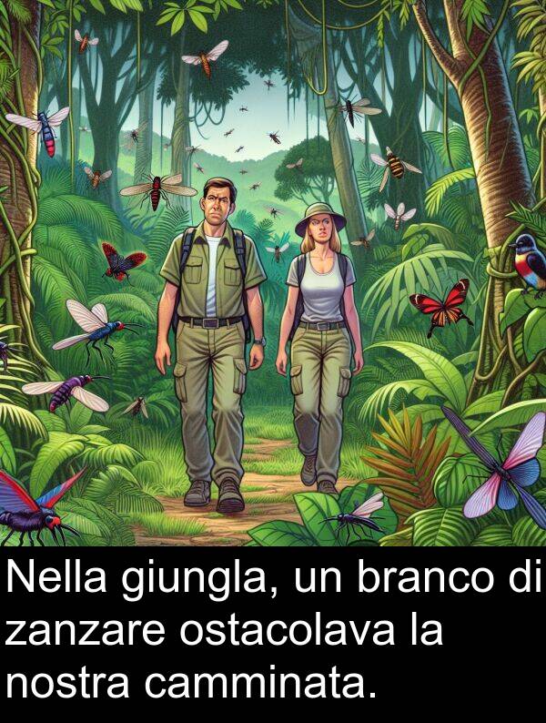 zanzare: Nella giungla, un branco di zanzare ostacolava la nostra camminata.