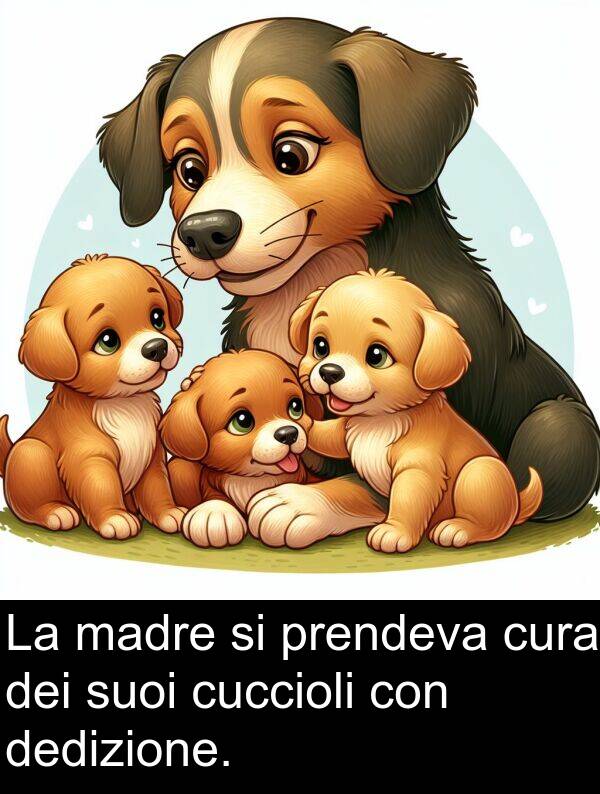 cuccioli: La madre si prendeva cura dei suoi cuccioli con dedizione.