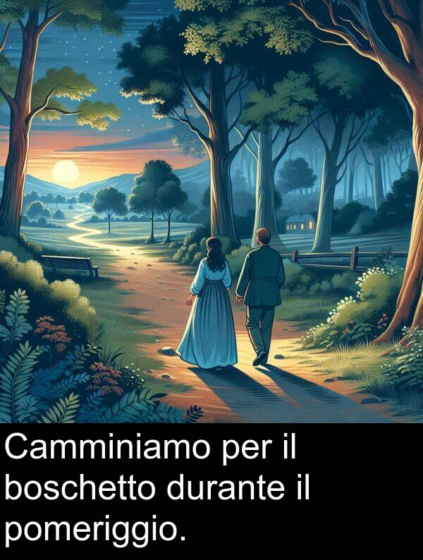 durante: Camminiamo per il boschetto durante il pomeriggio.