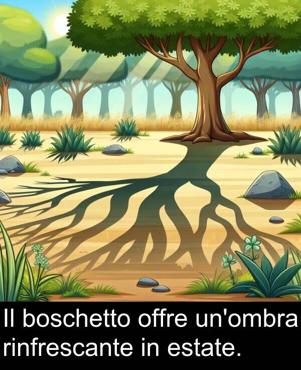 boschetto: Il boschetto offre un'ombra rinfrescante in estate.