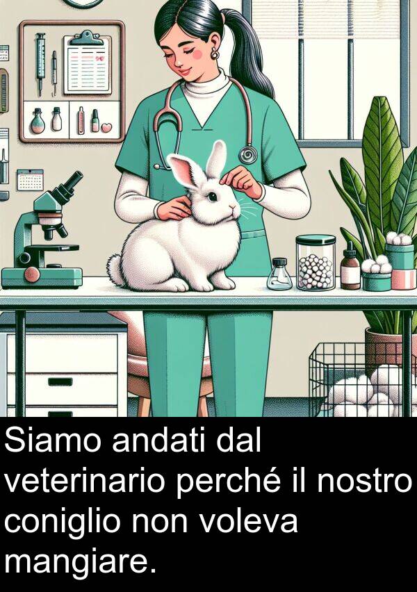 dal: Siamo andati dal veterinario perché il nostro coniglio non voleva mangiare.