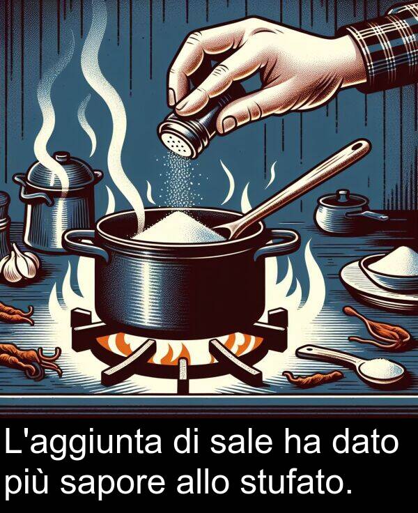 dato: L'aggiunta di sale ha dato più sapore allo stufato.