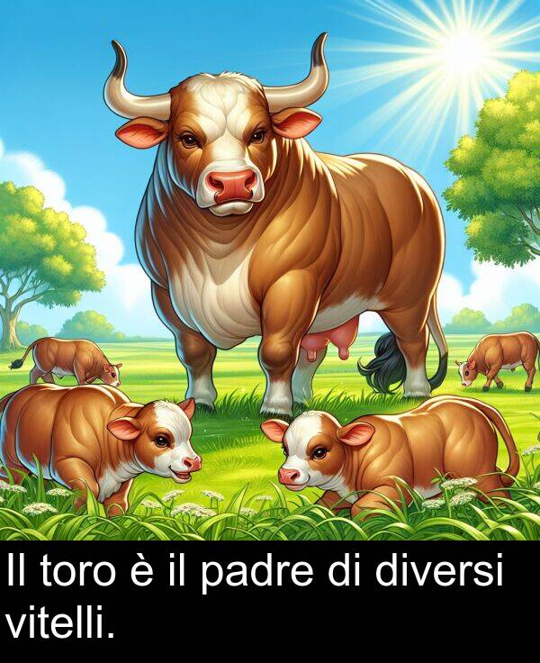 vitelli: Il toro è il padre di diversi vitelli.