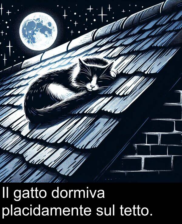 gatto: Il gatto dormiva placidamente sul tetto.