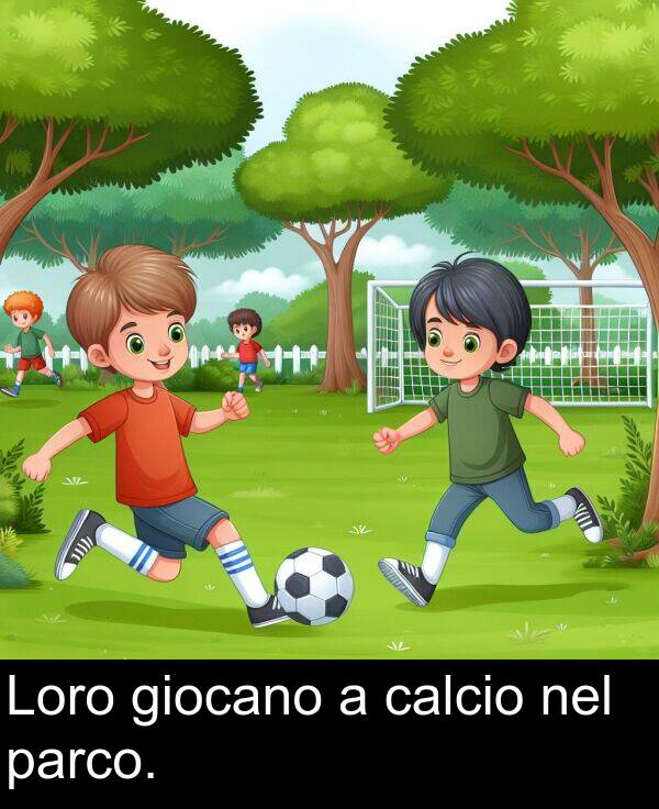 nel: Loro giocano a calcio nel parco.