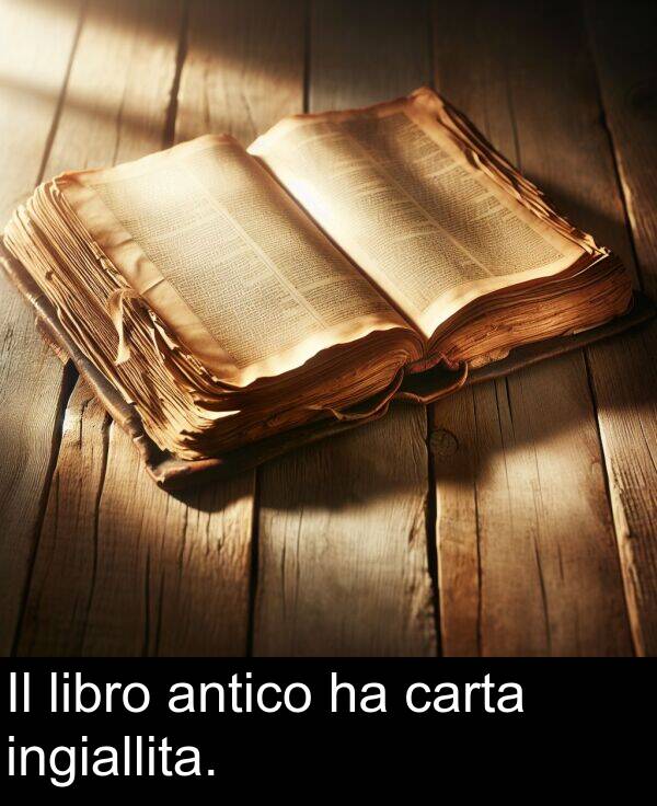 antico: Il libro antico ha carta ingiallita.