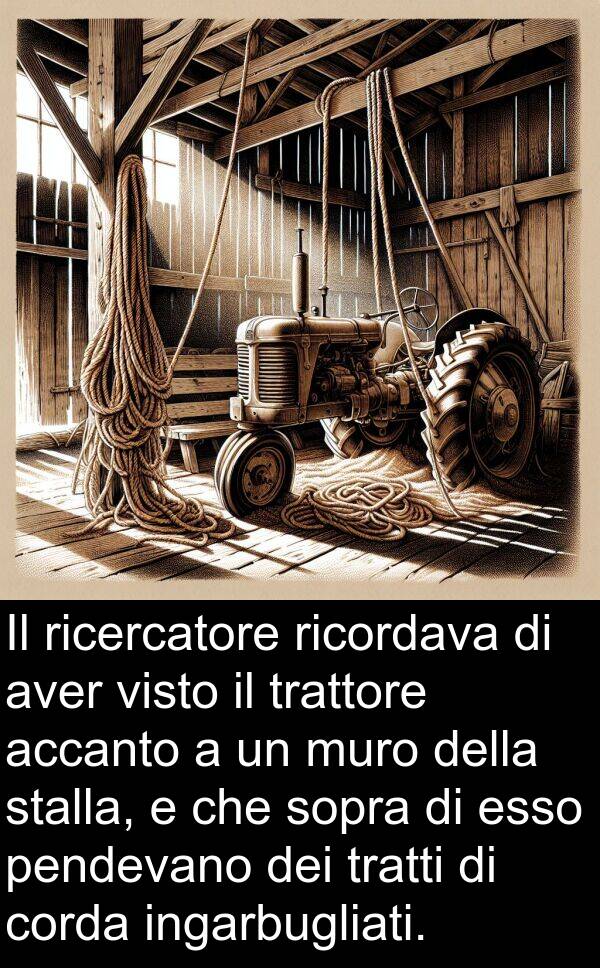 sopra: Il ricercatore ricordava di aver visto il trattore accanto a un muro della stalla, e che sopra di esso pendevano dei tratti di corda ingarbugliati.
