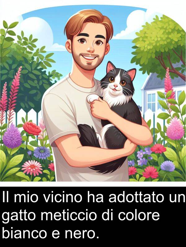 gatto: Il mio vicino ha adottato un gatto meticcio di colore bianco e nero.