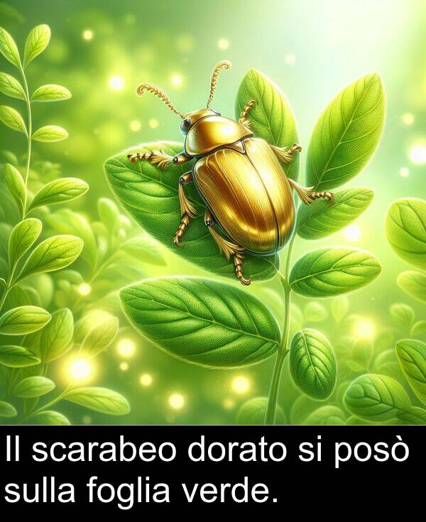 scarabeo: Il scarabeo dorato si posò sulla foglia verde.