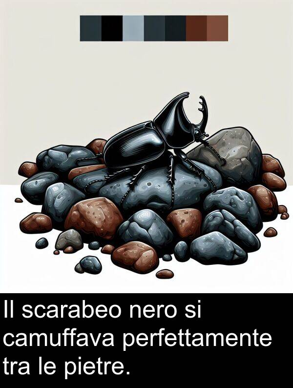 scarabeo: Il scarabeo nero si camuffava perfettamente tra le pietre.
