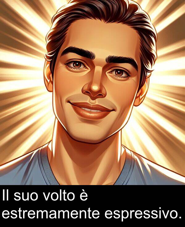 volto: Il suo volto è estremamente espressivo.