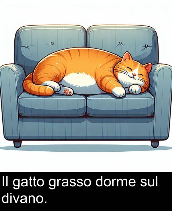 gatto: Il gatto grasso dorme sul divano.