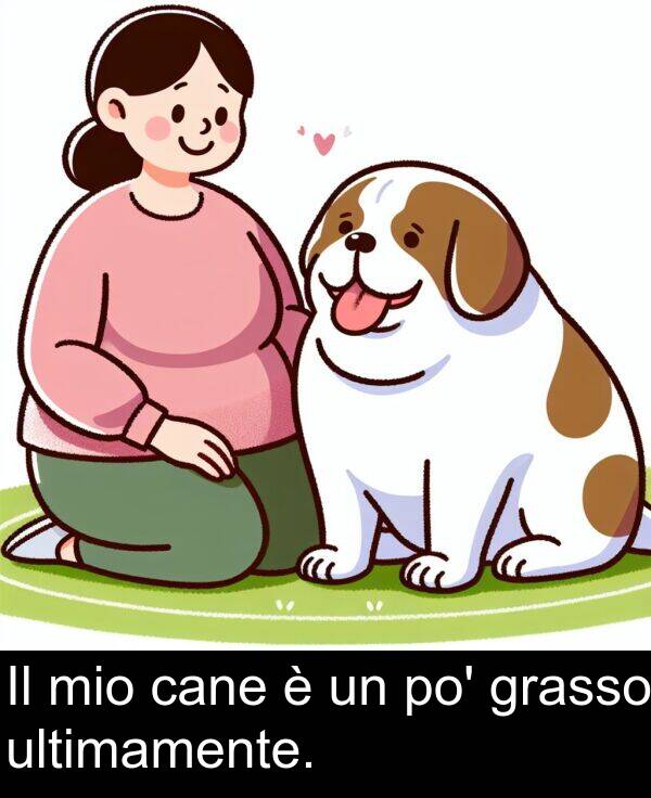 cane: Il mio cane è un po' grasso ultimamente.