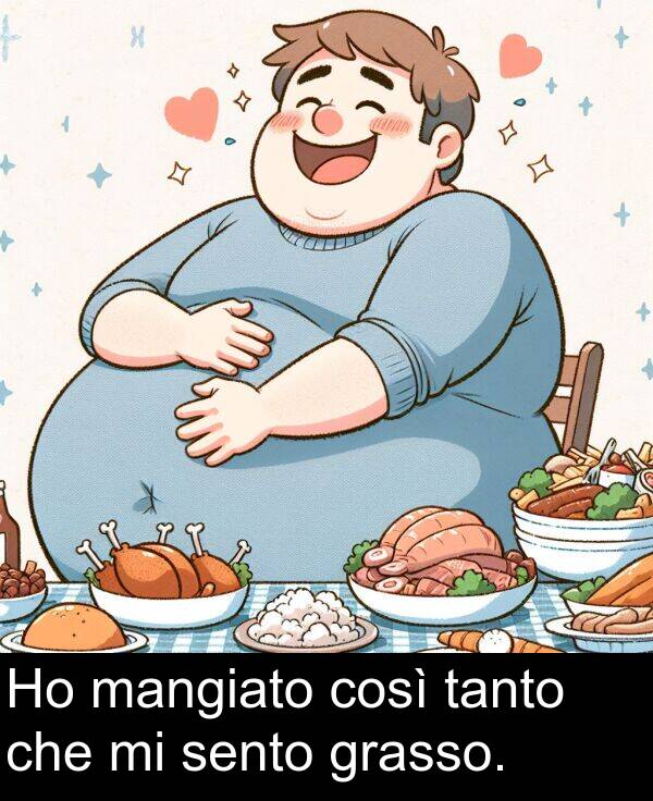 che: Ho mangiato così tanto che mi sento grasso.