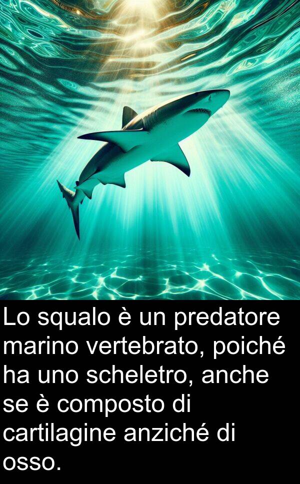 vertebrato: Lo squalo è un predatore marino vertebrato, poiché ha uno scheletro, anche se è composto di cartilagine anziché di osso.
