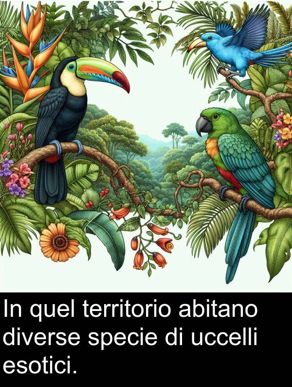 quel: In quel territorio abitano diverse specie di uccelli esotici.