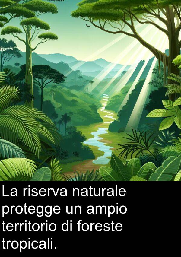 riserva: La riserva naturale protegge un ampio territorio di foreste tropicali.