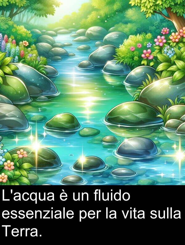 sulla: L'acqua è un fluido essenziale per la vita sulla Terra.