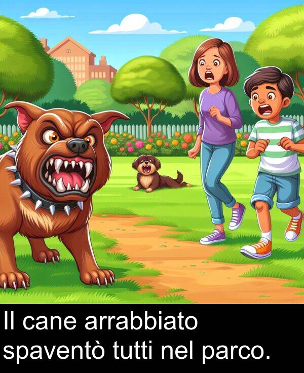 cane: Il cane arrabbiato spaventò tutti nel parco.
