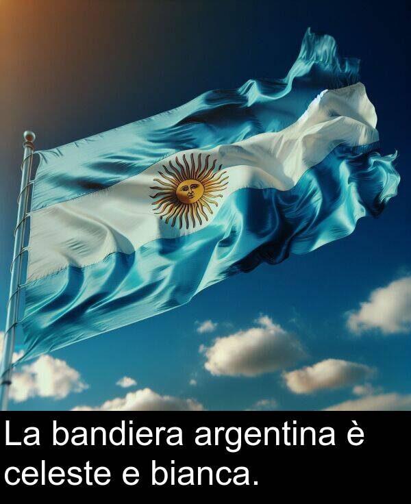 bianca: La bandiera argentina è celeste e bianca.