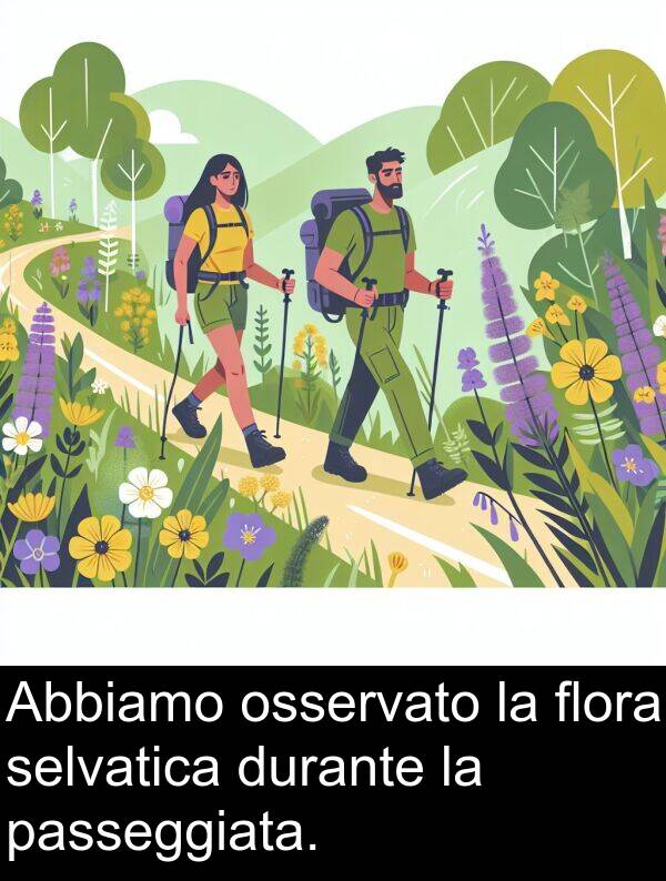 durante: Abbiamo osservato la flora selvatica durante la passeggiata.