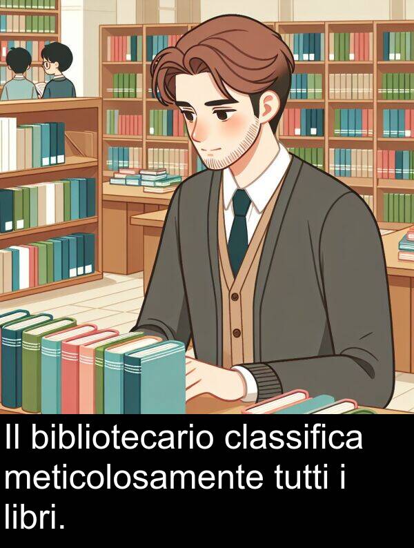 bibliotecario: Il bibliotecario classifica meticolosamente tutti i libri.