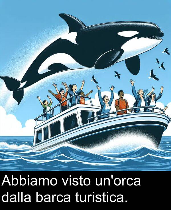 dalla: Abbiamo visto un'orca dalla barca turistica.