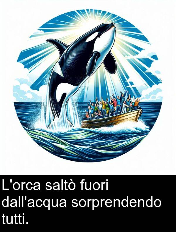 fuori: L'orca saltò fuori dall'acqua sorprendendo tutti.