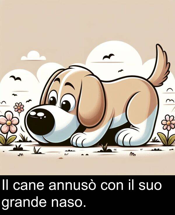 cane: Il cane annusò con il suo grande naso.