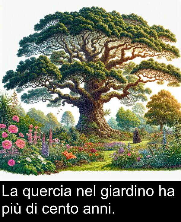 nel: La quercia nel giardino ha più di cento anni.
