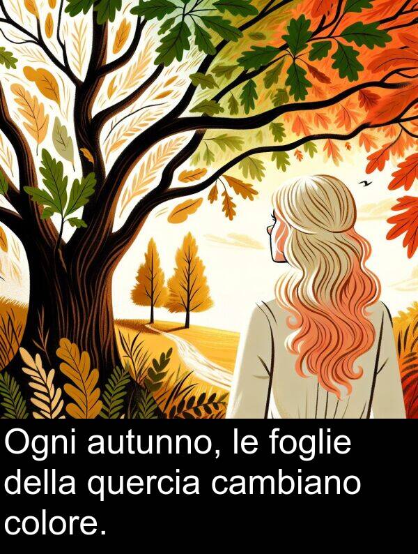 colore: Ogni autunno, le foglie della quercia cambiano colore.