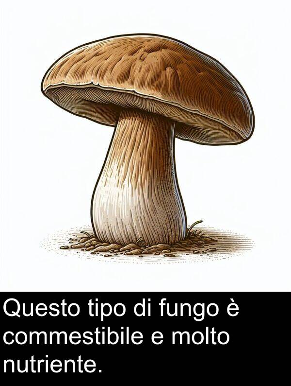 commestibile: Questo tipo di fungo è commestibile e molto nutriente.