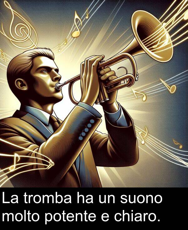 tromba: La tromba ha un suono molto potente e chiaro.